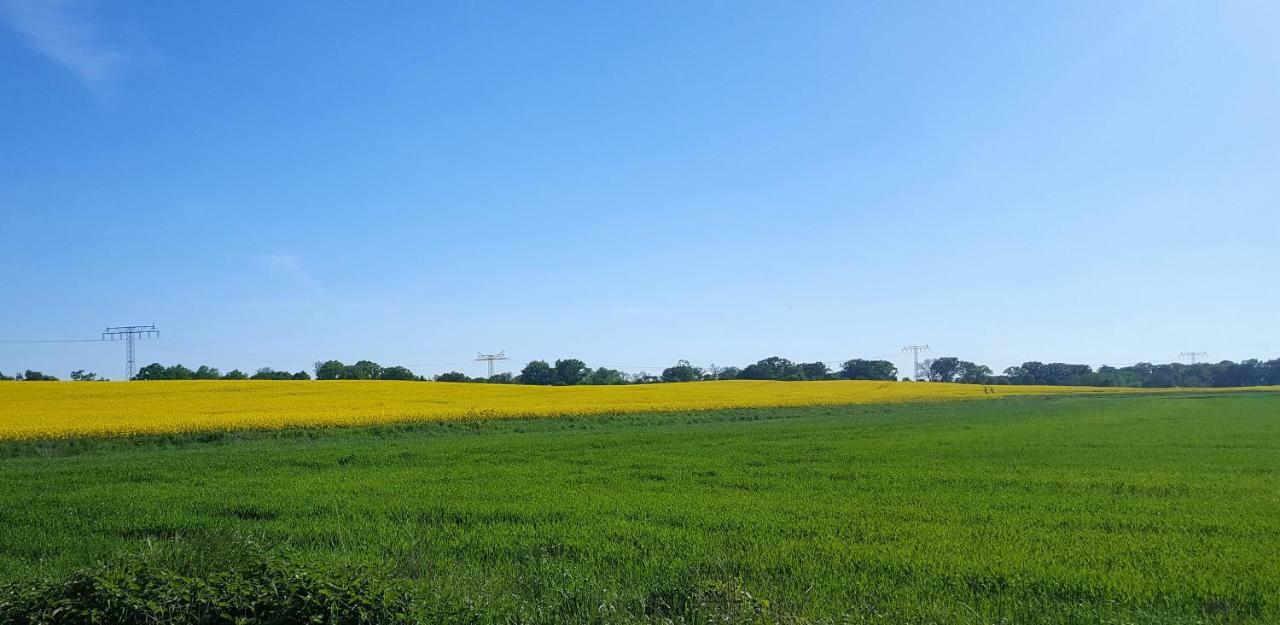 Ferienwohnung Urte In Putgarten , Kap Arkona Ruegen Екстер'єр фото
